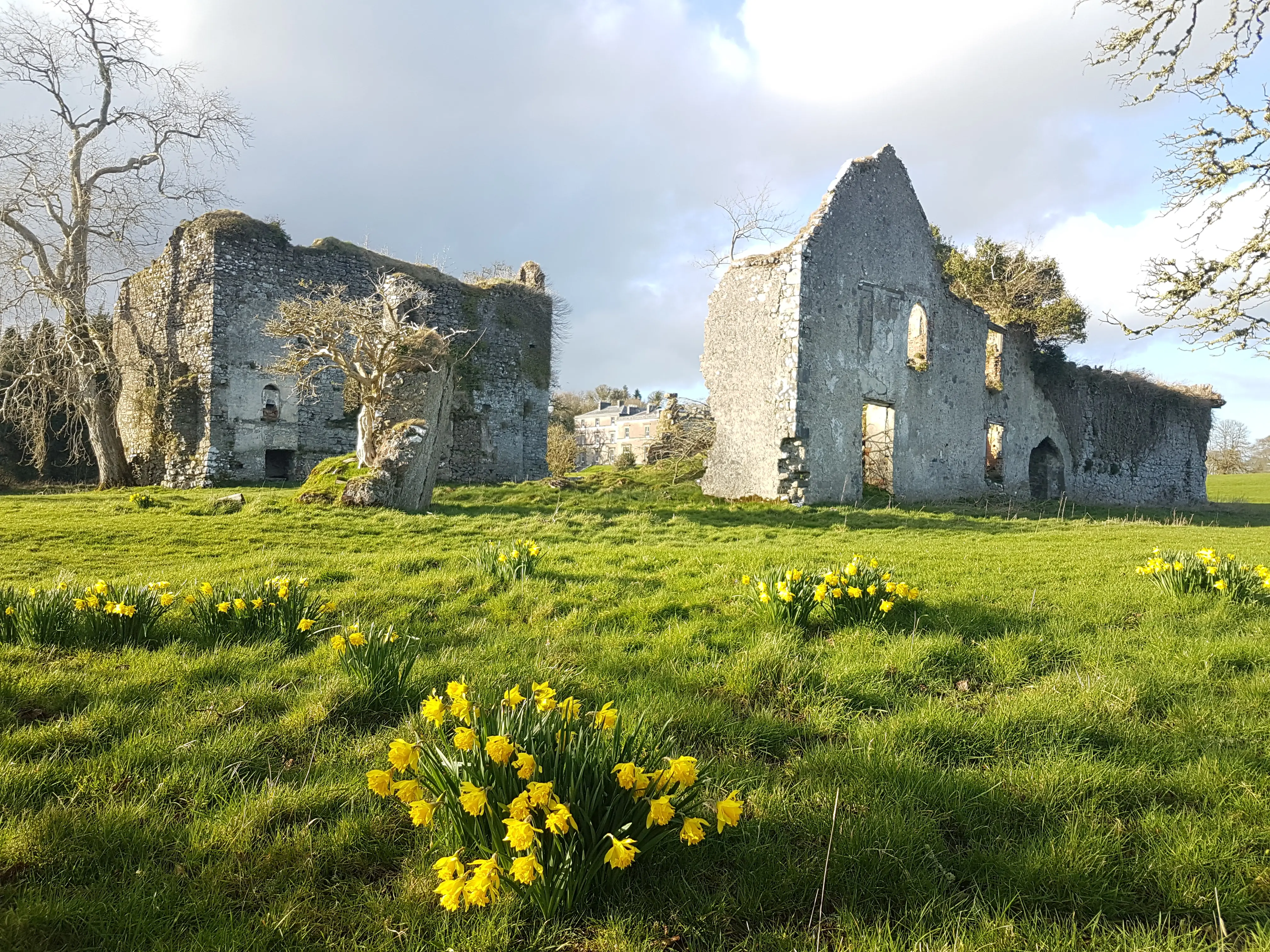 Thumbnail Venue Image