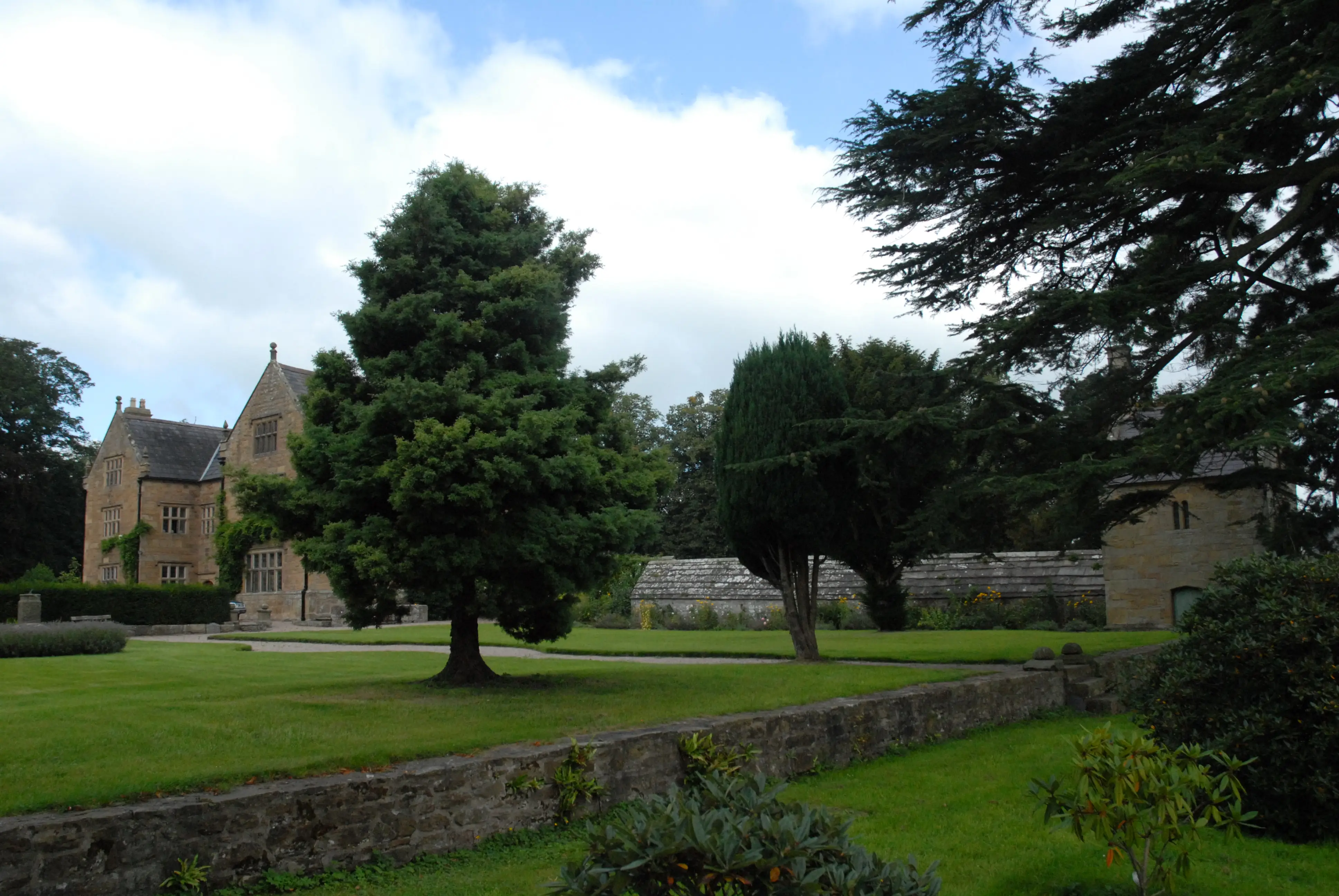 other image 1