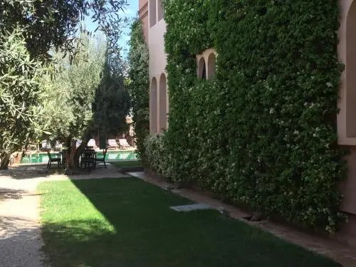 other image 1