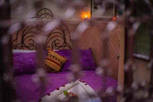 other image 2