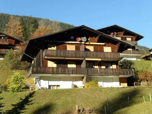 Offsite venue - Apartment Grindelwaldgletscher - GRIWA RENT AG thumbnail