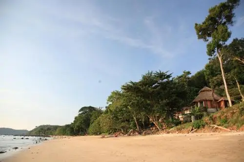other image 1