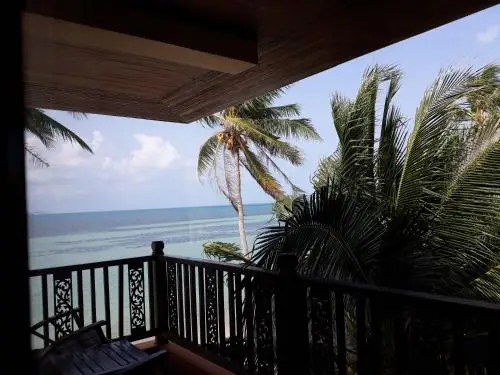 other image 1