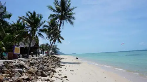 other image 2