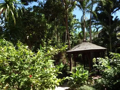 other image 3