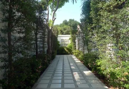 other image 2