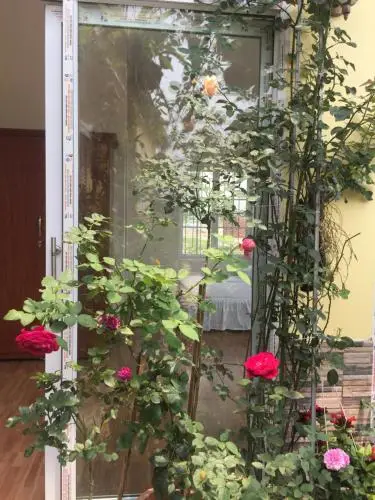 other image 3