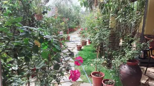 Offsite venue - Rose Homestay thumbnail