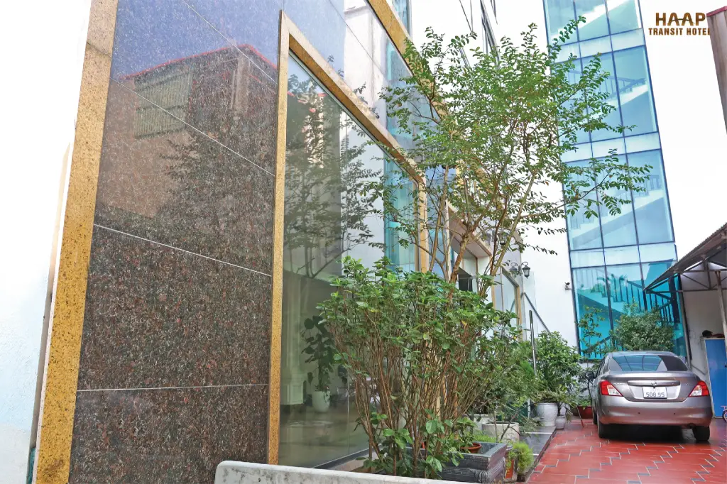 other image 1