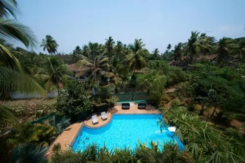other image 2