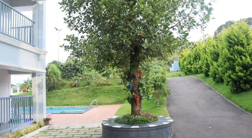other image 1