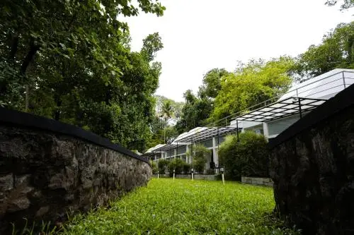other image 0