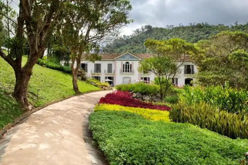 other image 1
