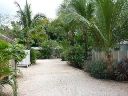 other image 0
