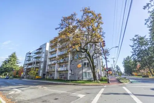 Offsite venue - SoLo Suites thumbnail