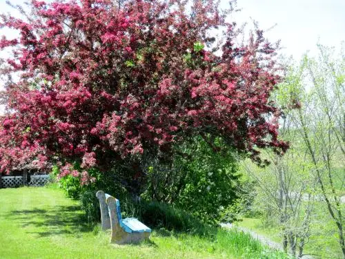 other image 1