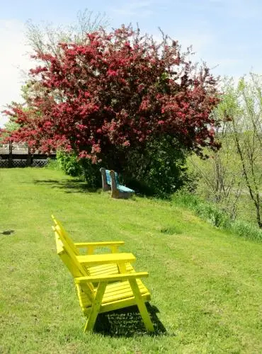 other image 2