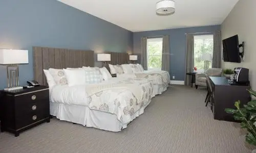 other image 2