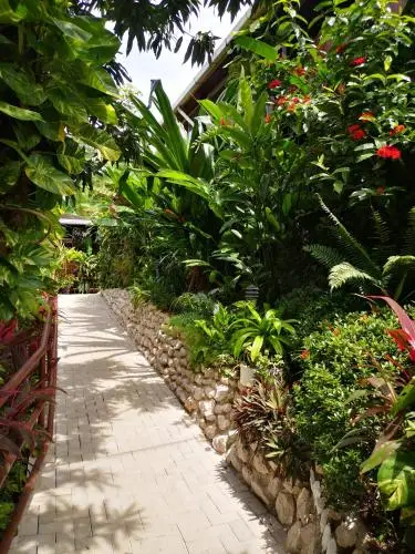 other image 2
