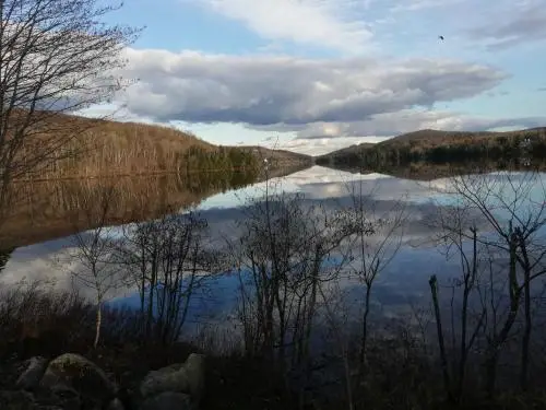 other image 1