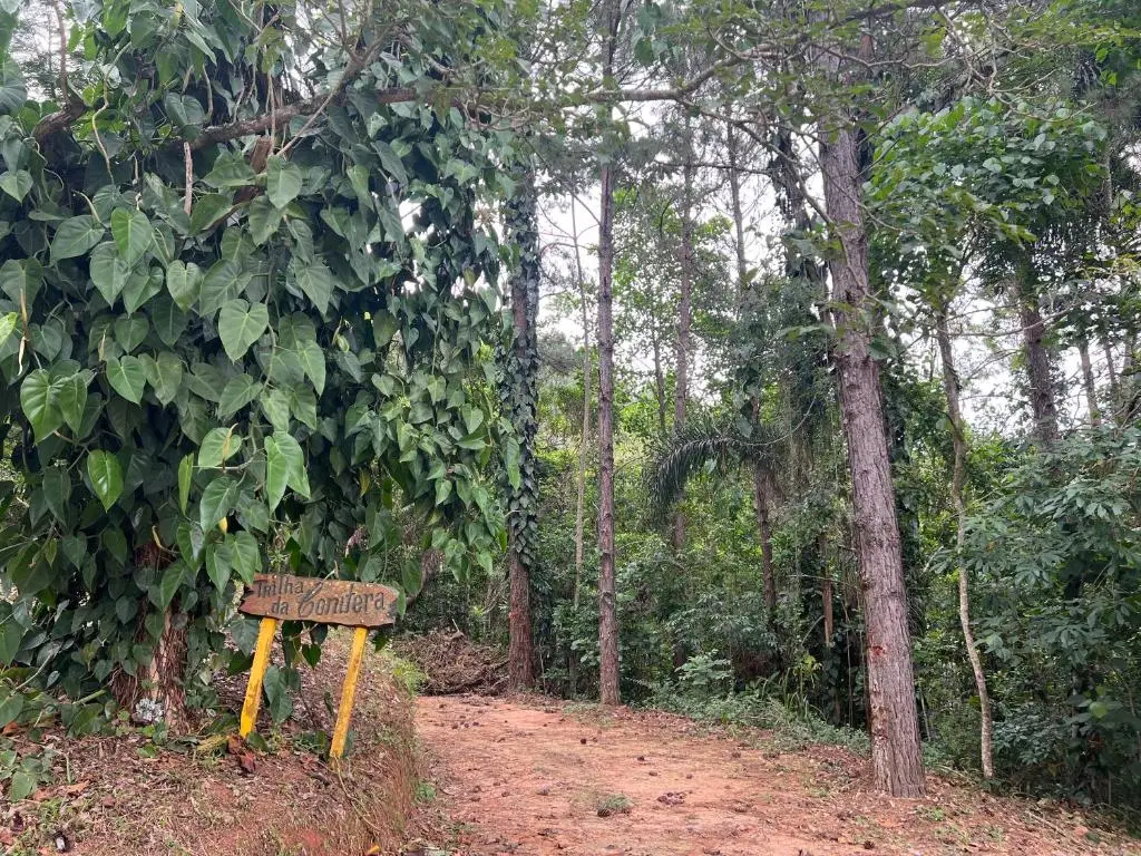 other image 1