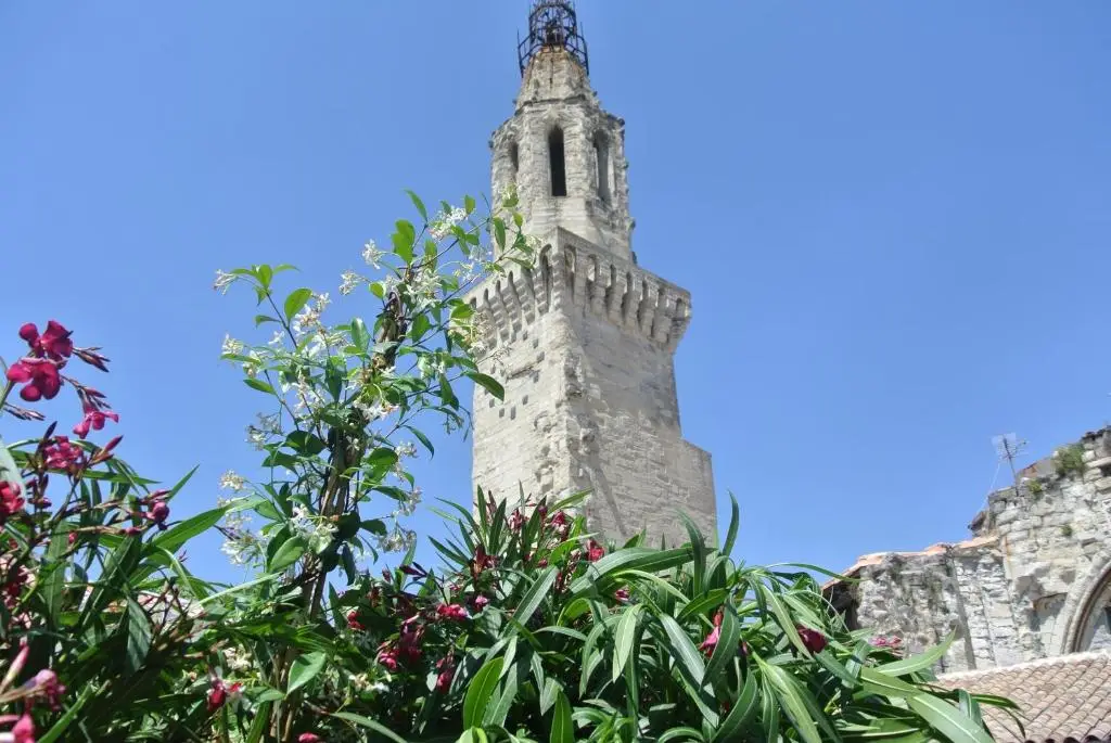 Offsite venue - Aux Augustins Palais des Papes & Fitness thumbnail