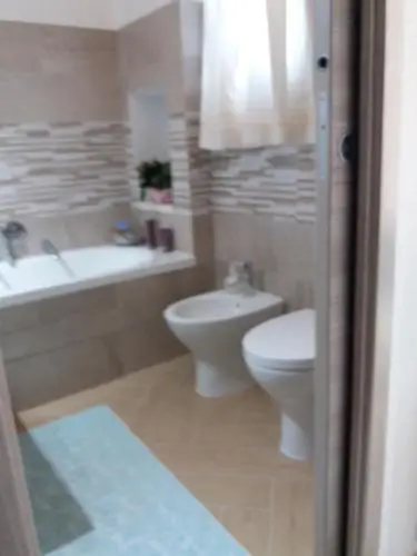 other image 1