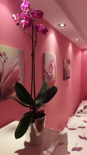 Offsite venue - ARS Apartment thumbnail