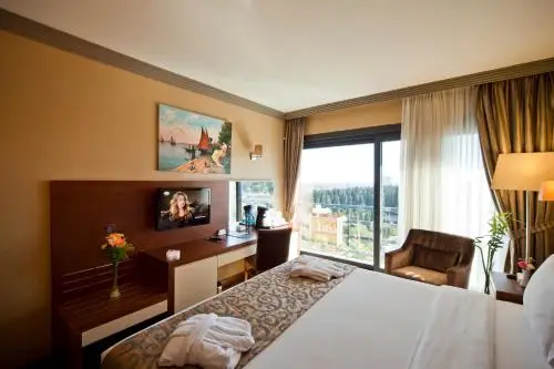 other image 1