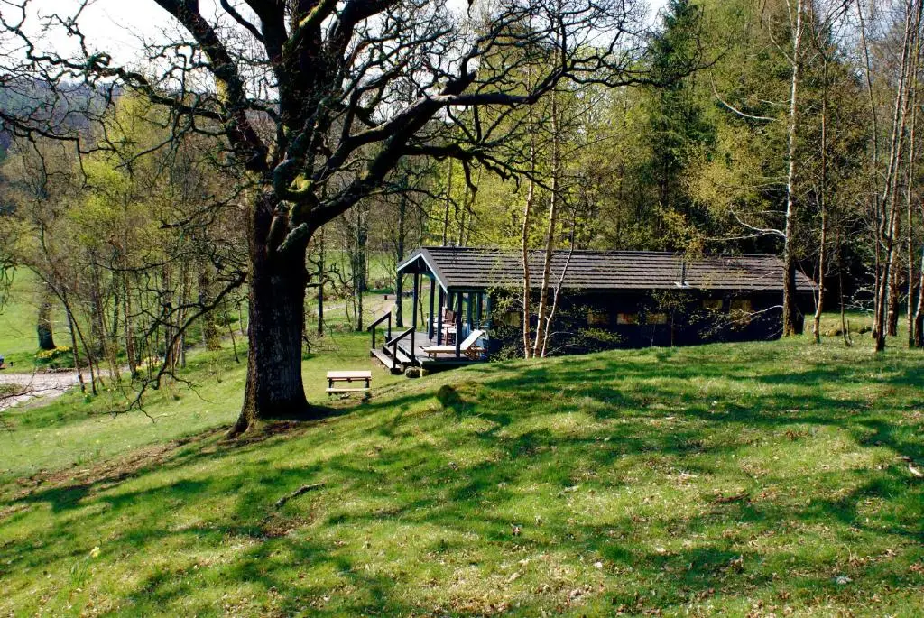 other image 1