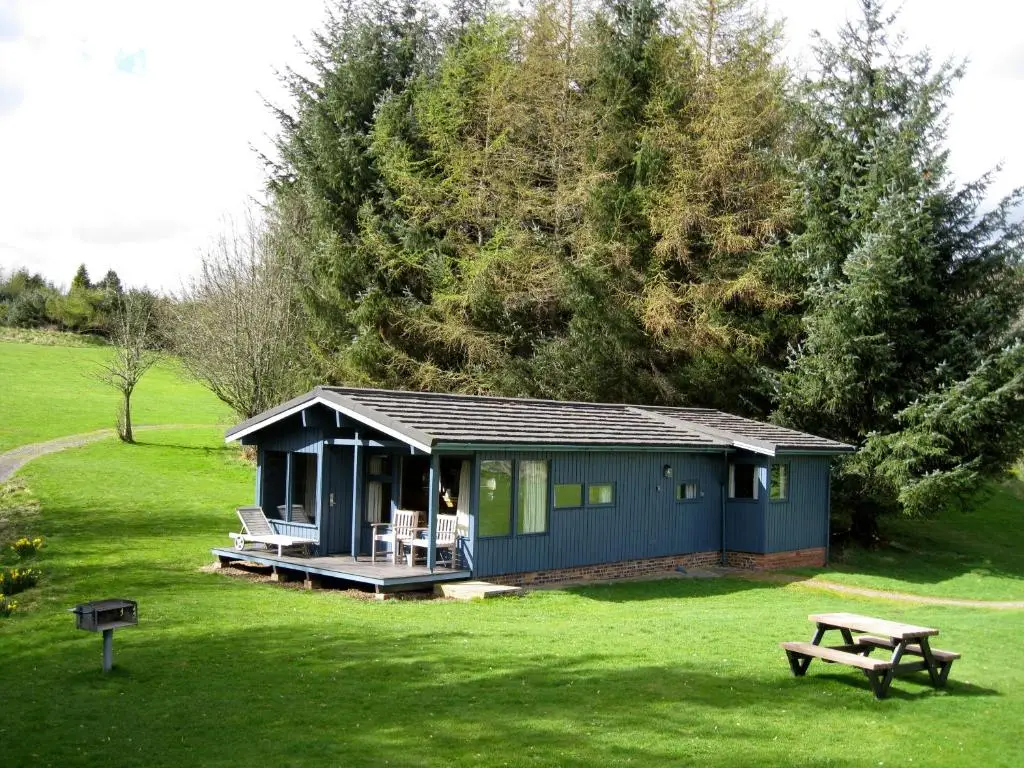 other image 0