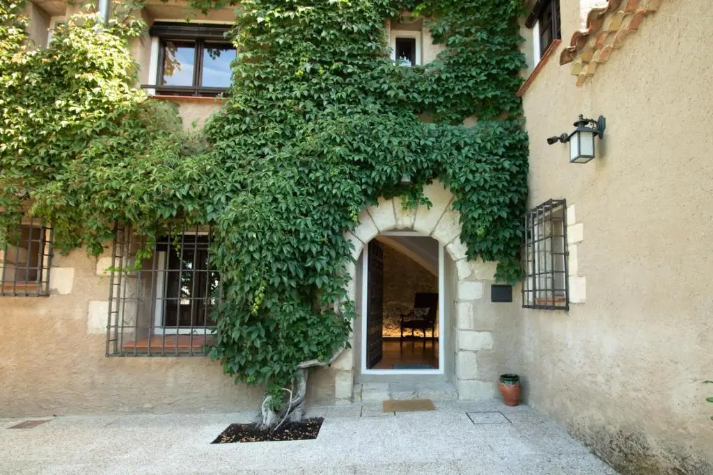 other image 2