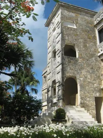 other image 3