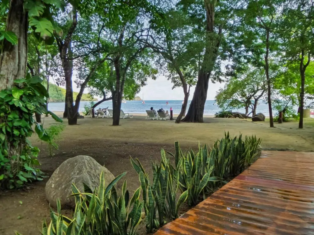 other image 0