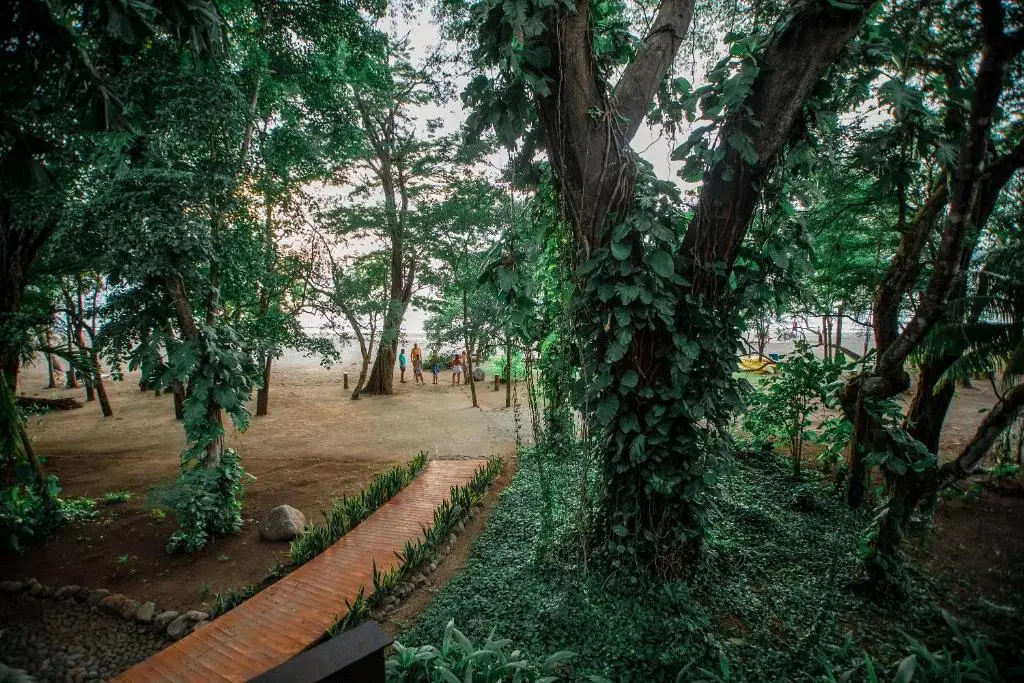 other image 3