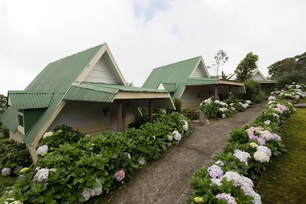 other image 1