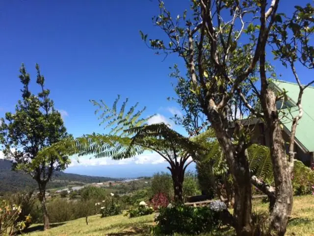 Offsite venue - Hortensias Chalets Vara blanca thumbnail