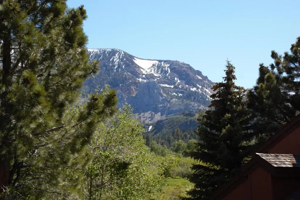 other image 2