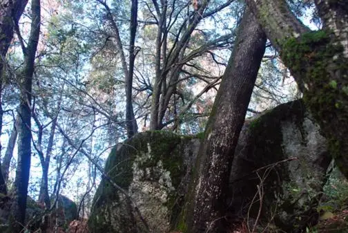 other image 2