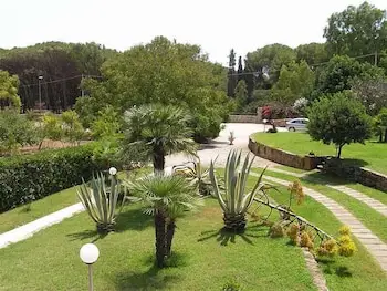 other image 0