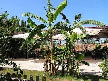 other image 2