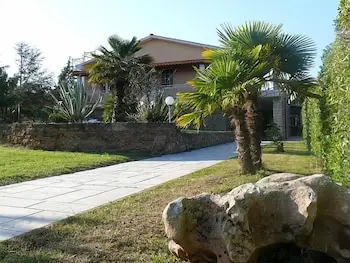 other image 1