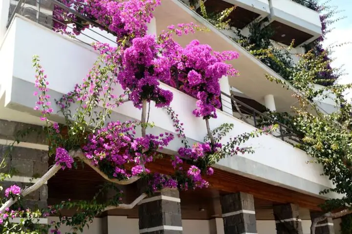 Offsite venue - Cala Luna thumbnail