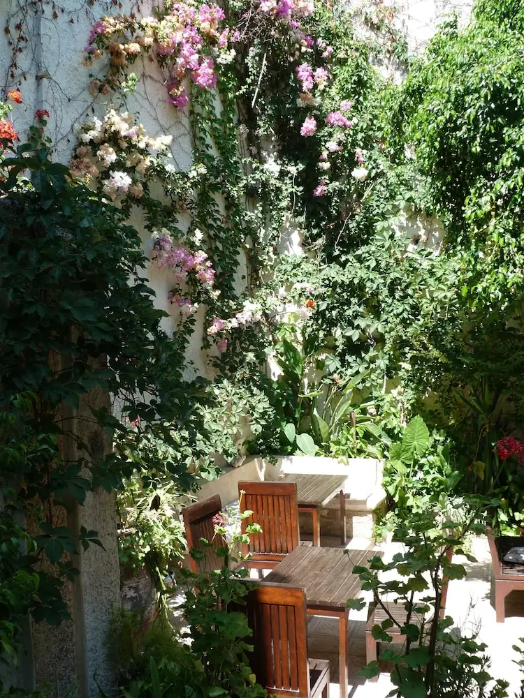 other image 0