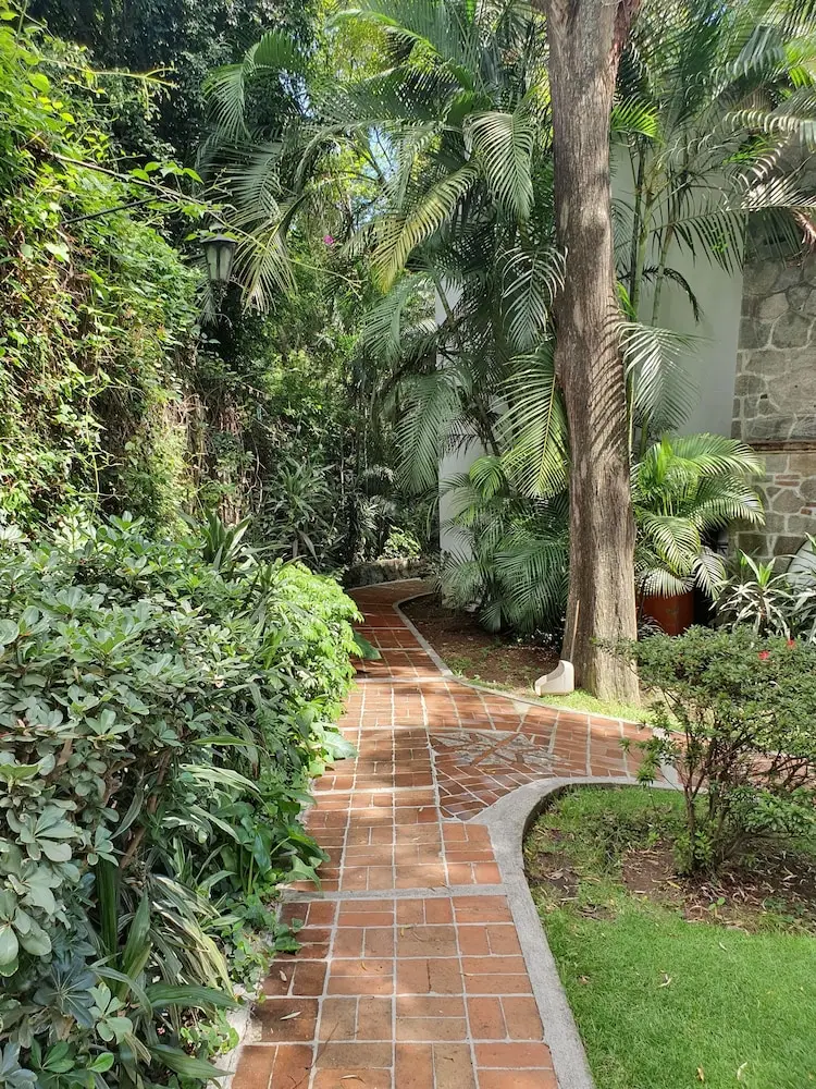 other image 1