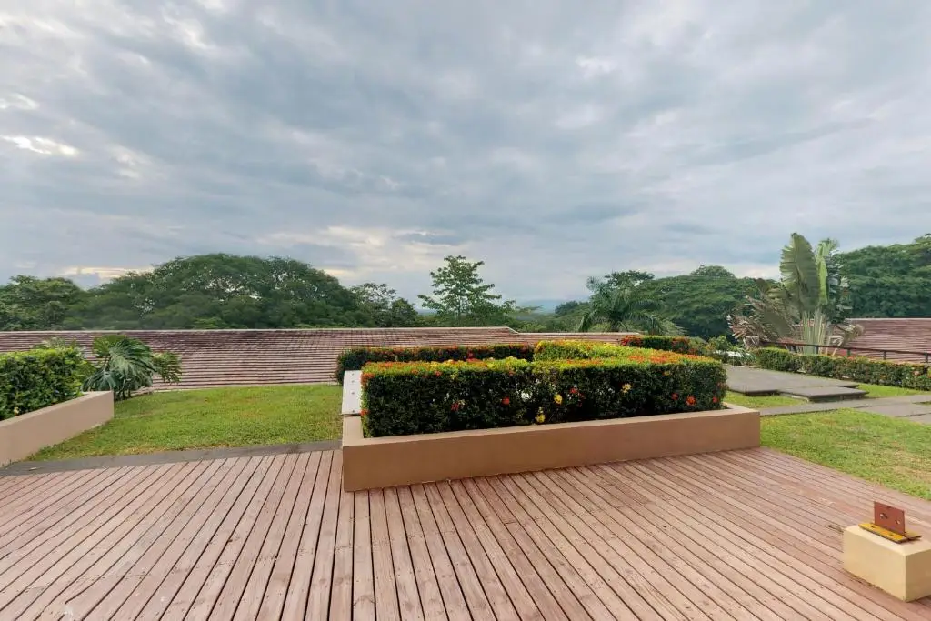 other image 1