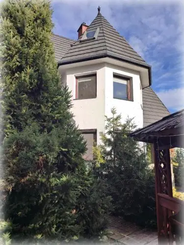 other image 1