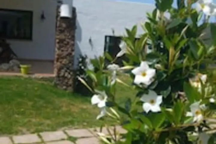 other image 3