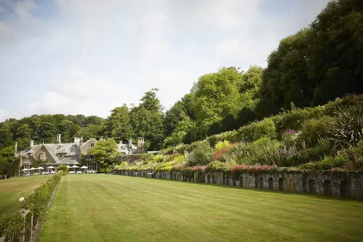 other image 0